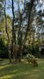 GOLDEN APARTMENTS & GLAMPING SPÓŁKA Z OGRANICZONĄ ODPOWIEDZIALNOŚCIĄ - 109